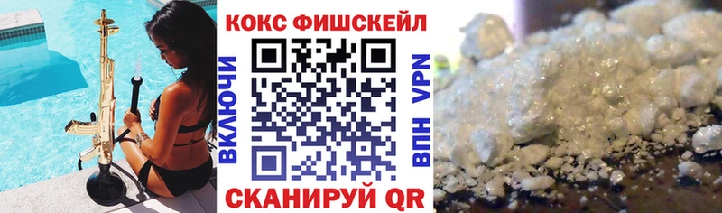 Купить где  Электроугли  Кокаин Fish Scale 