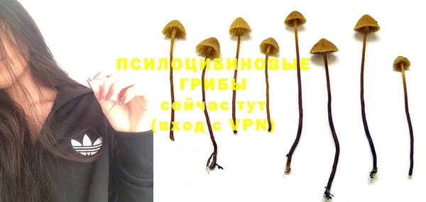 винт Баксан