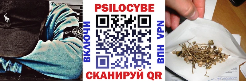 Купить где  Электроугли  Псилоцибиновые грибы мицелий 